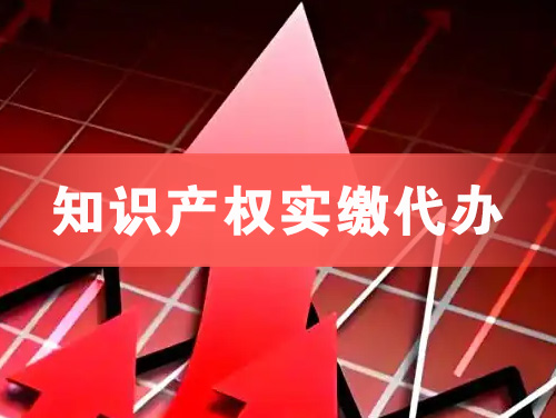 张家界知识产权实缴资本代办